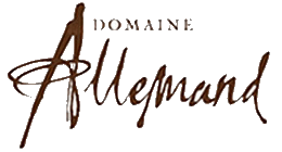 Logo domaine allemand