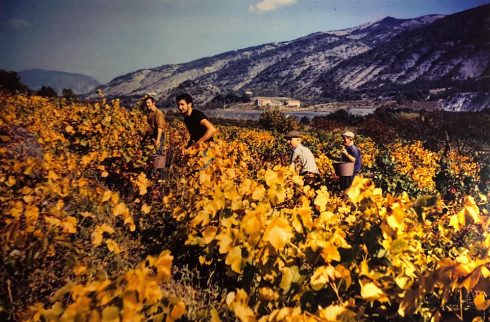 domaine de tresbaudon tallard