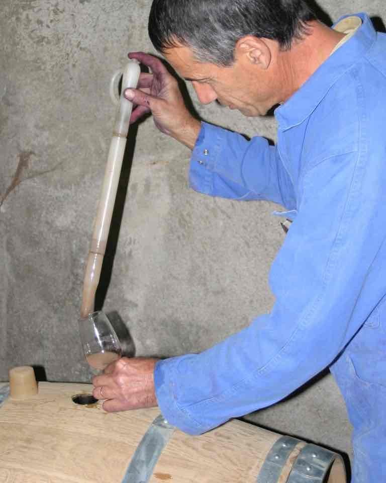 Vinification au domaine saint andré à la saulce