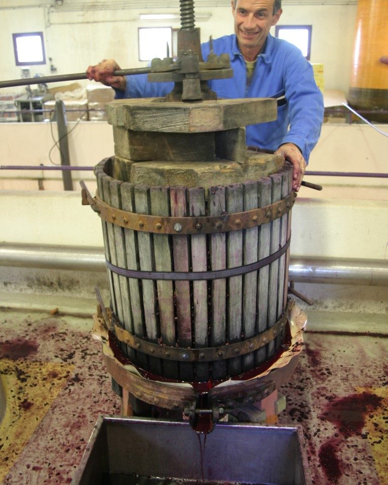 Méthode de vinification au domaine saint andré la saulce