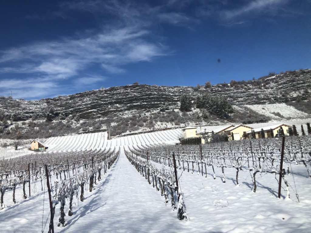 Vignes sous la neige domaine de tresbaudon Tallard vins des hautes-alpes igp