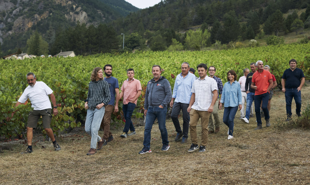 vignerons des domaines viticoles des hautes alpes à Remollon