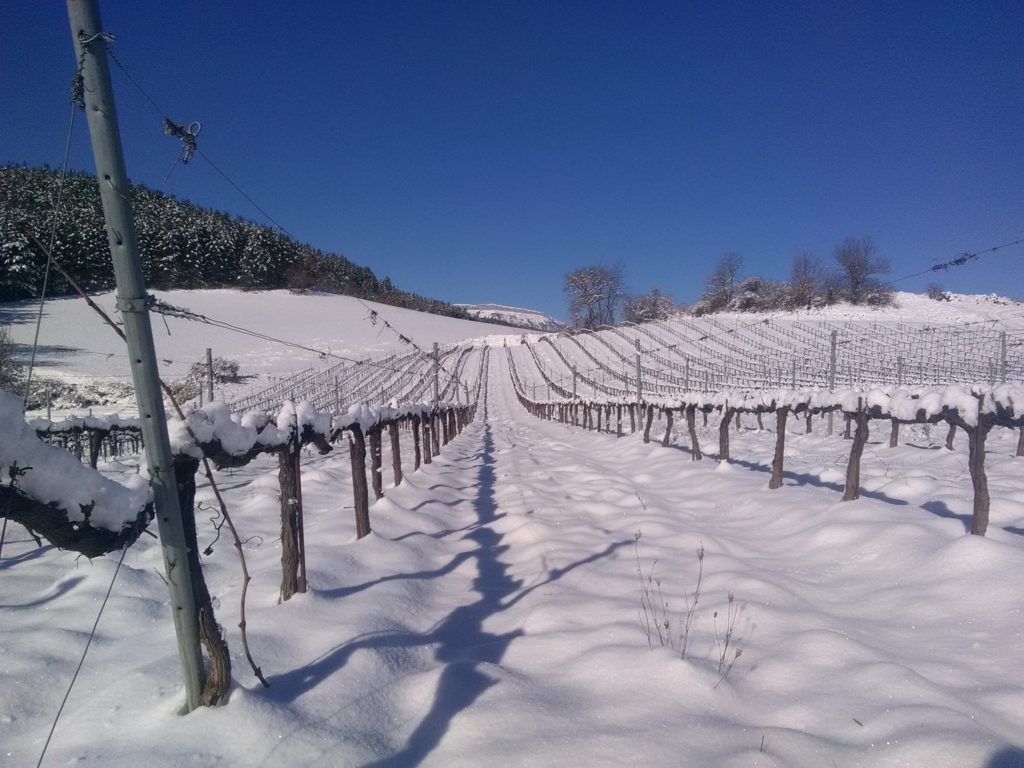 cave des hautes vignes sous la neige