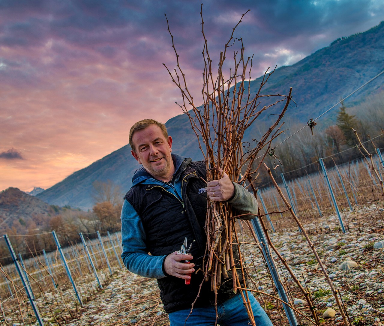 Domaine de Tresbaudon taille des vignes