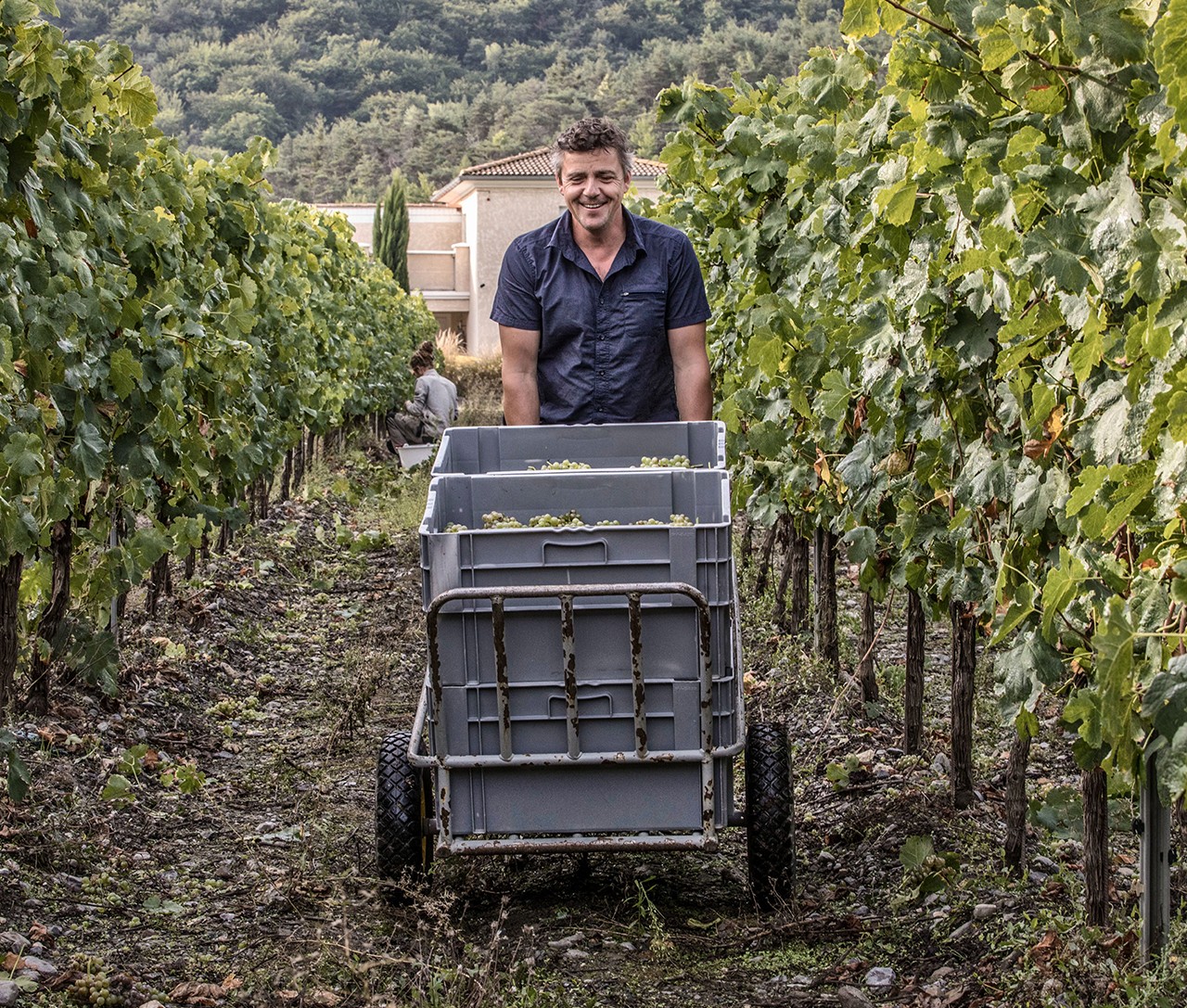 vendanges domaine du petit août vins igp hautes alpes