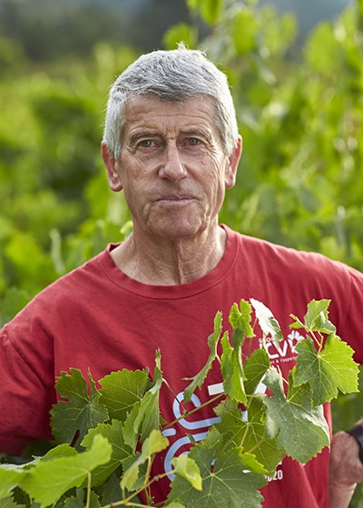 Cave coopérative hautes vignes hautes alpes