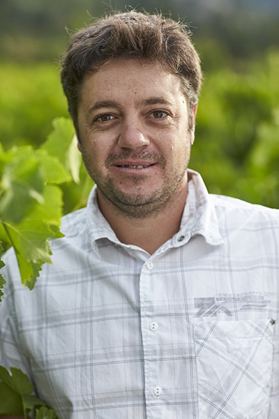 Cave coopérative hautes vignes hautes alpes