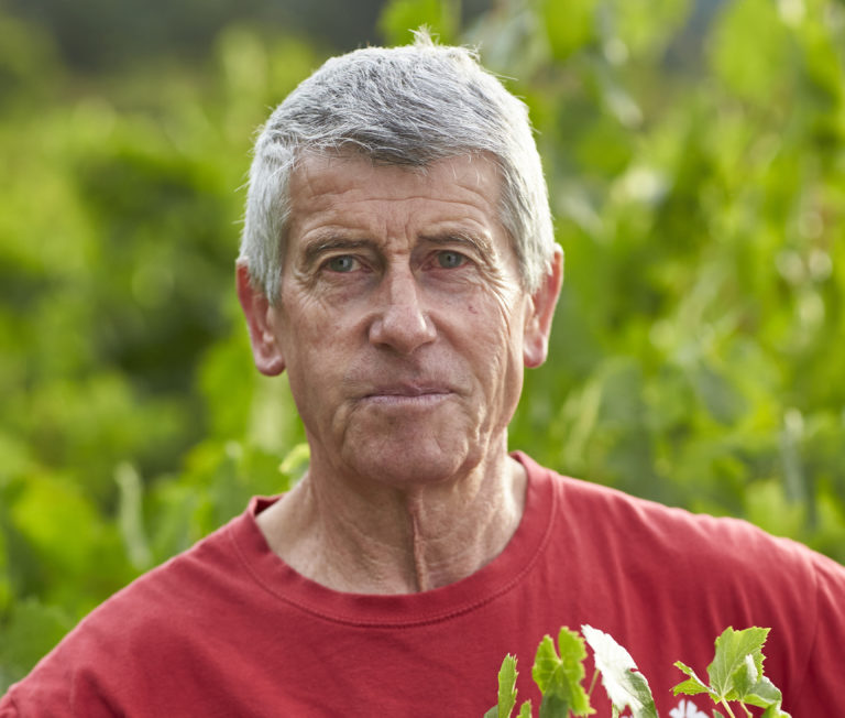 Cave coopérative hautes vignes hautes alpes