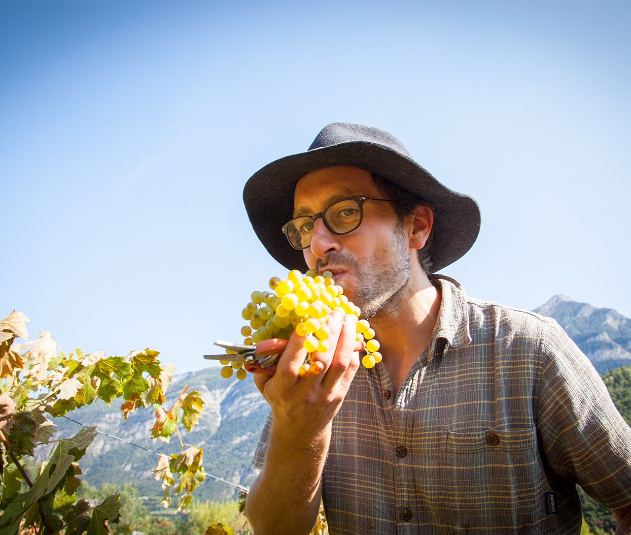 mickael olivon domaine les hauts lieux vins des hautes alpes igp